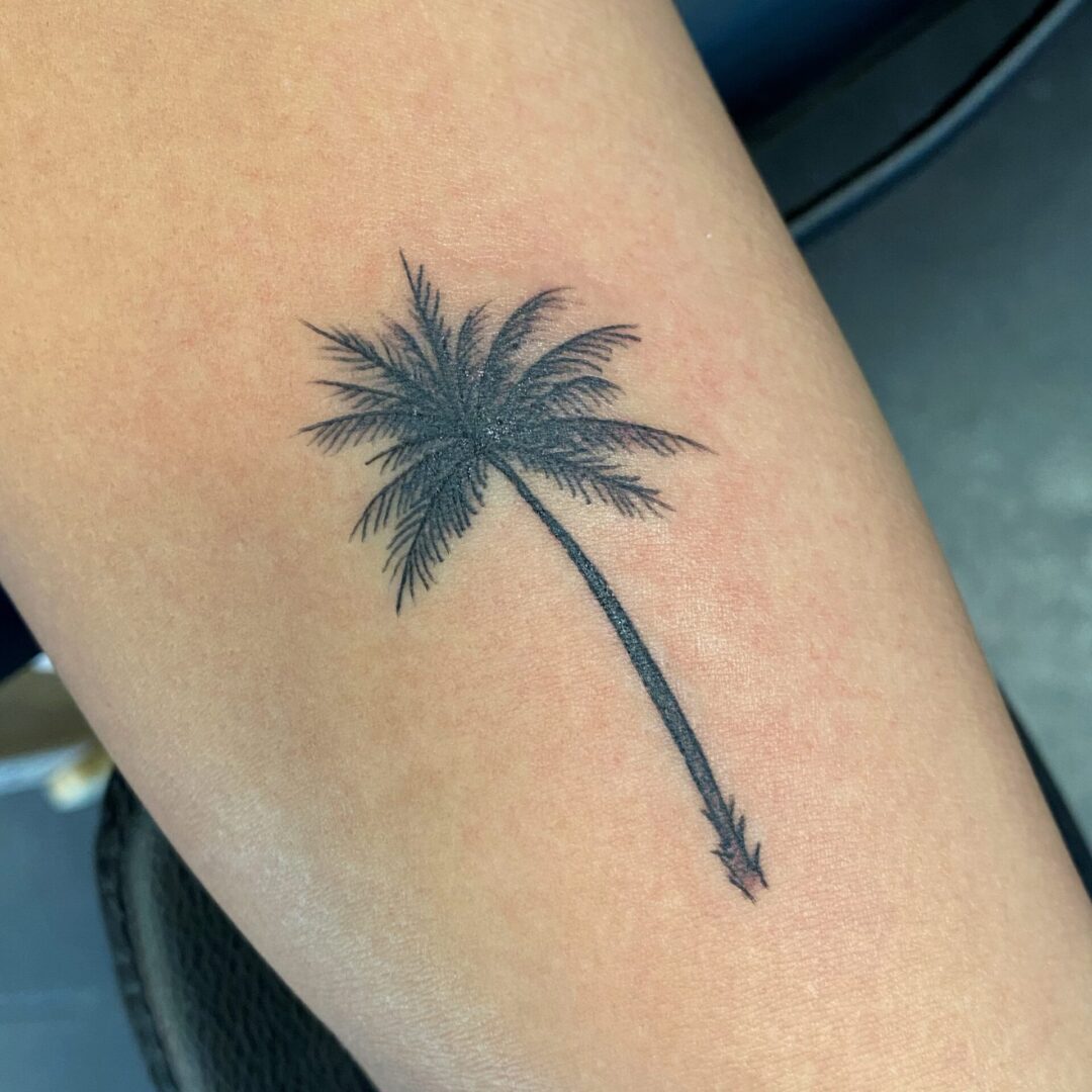 A palm tree tattoo is shown on the arm.