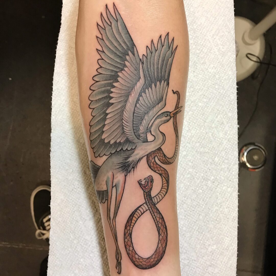 A bird with its wings spread and a snake on it's arm.