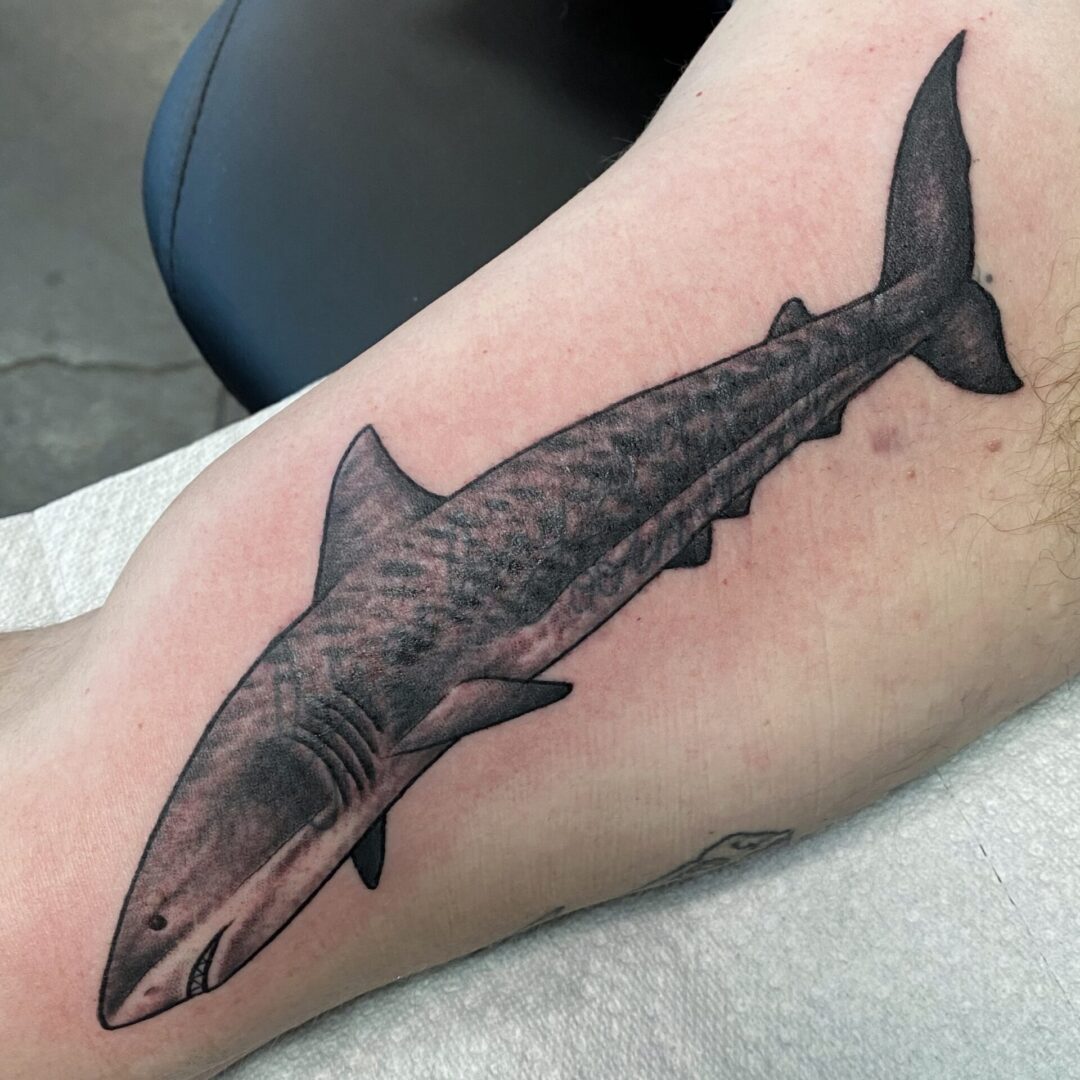 A shark tattoo is shown on the arm.