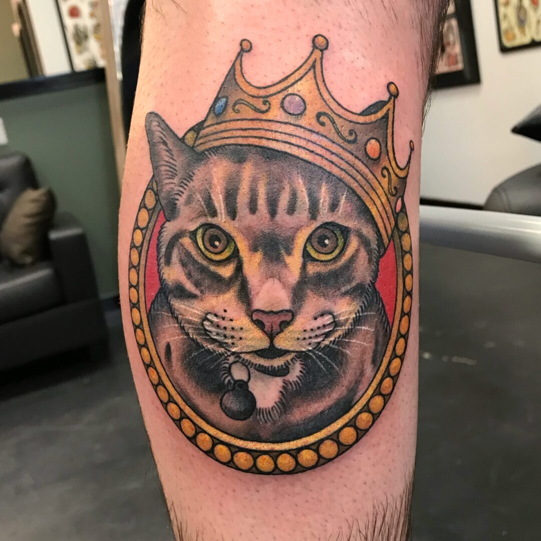 A cat wearing a crown in the middle of his arm.
