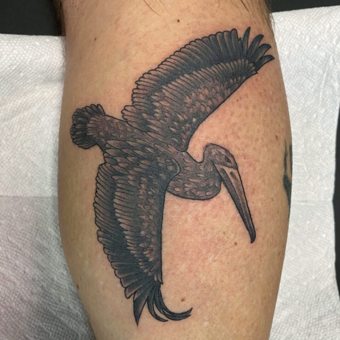 A black and white bird tattoo on the arm of someone.