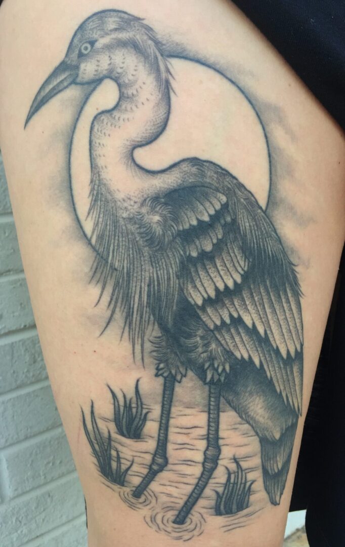 A black and white tattoo of an ostrich